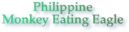 Philippine Monkey Eating Eagle